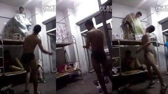 免费调教视频在线观看,轻松入门，在线学习新技能